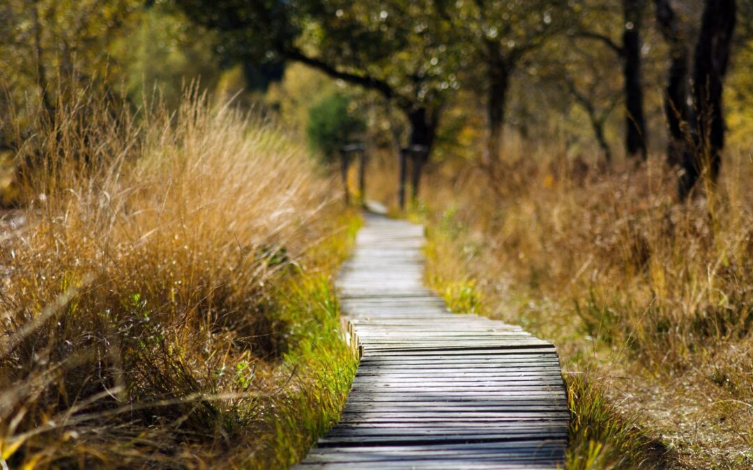Local Trails to Explore This Weekend