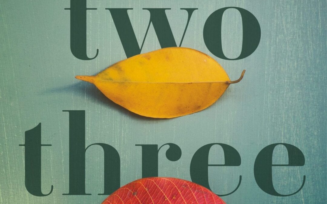 Meet A Mom: Laurie Frankel