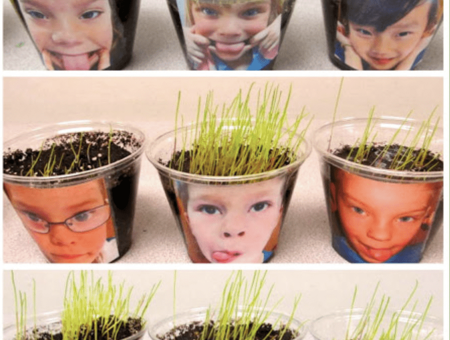 Crazy Hair Spring Activity for Pre-schoolers