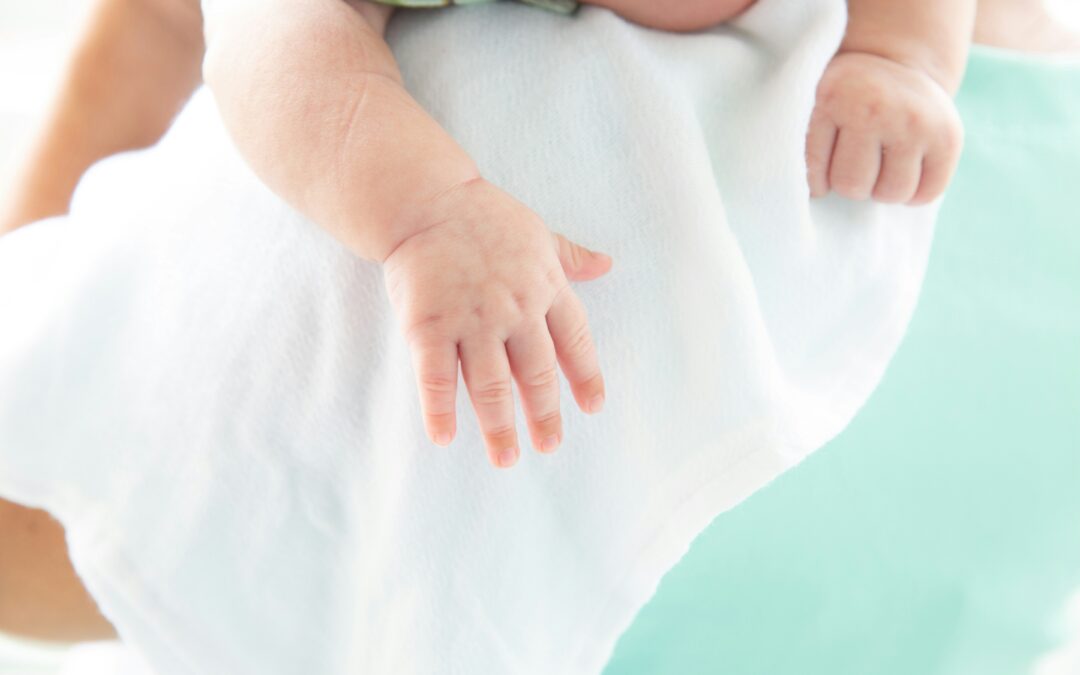 The Local Moms Network Ultimate Baby Guide