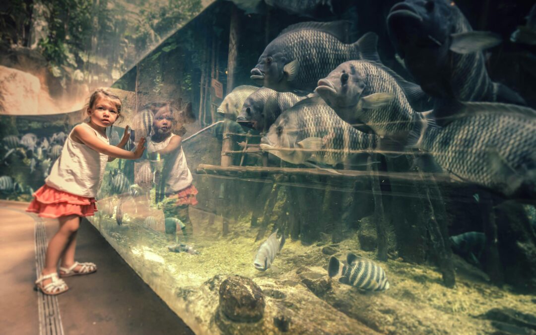 Your Guide to Amazing Animal Encounters in San Antonio