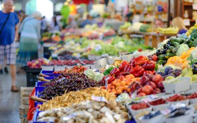 The New Food Pyramid: A Registered Dietician & Mom Weighs In